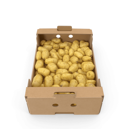 Patatas premium 3