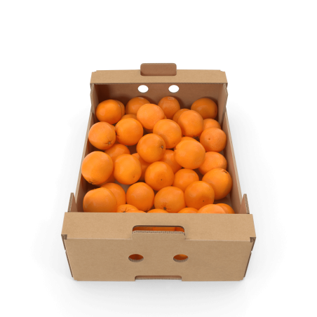 Naranjas premium